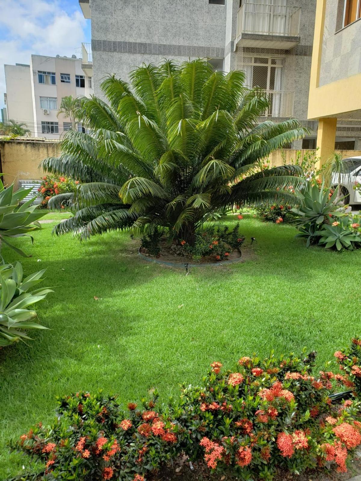 Localizacao Imbativel! A 98M Da Praia Do Forte Com Conforto, Ar-Condicionado E Estacionamento! Cabo Frio Bagian luar foto